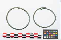 Foto von Bronzearmreif (NHMW-PRAE-025734)